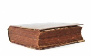 viva voluptuous book