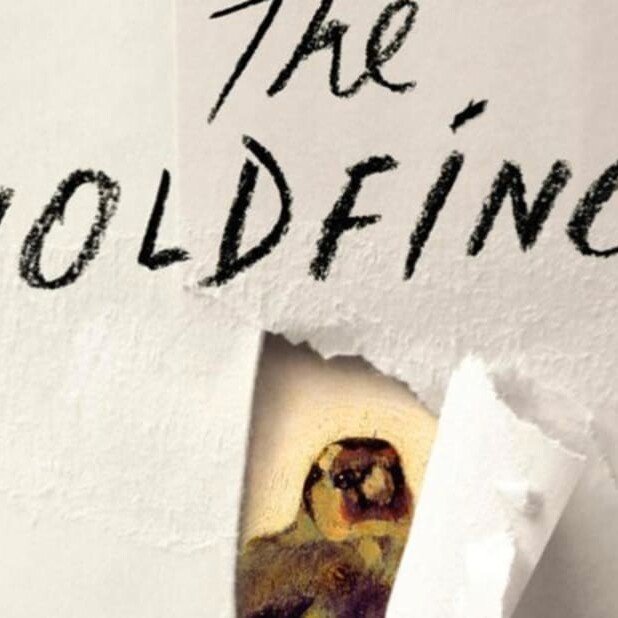 cover of Donna Tartt's The Goldfinch book